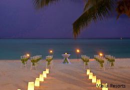Destination Wedding 